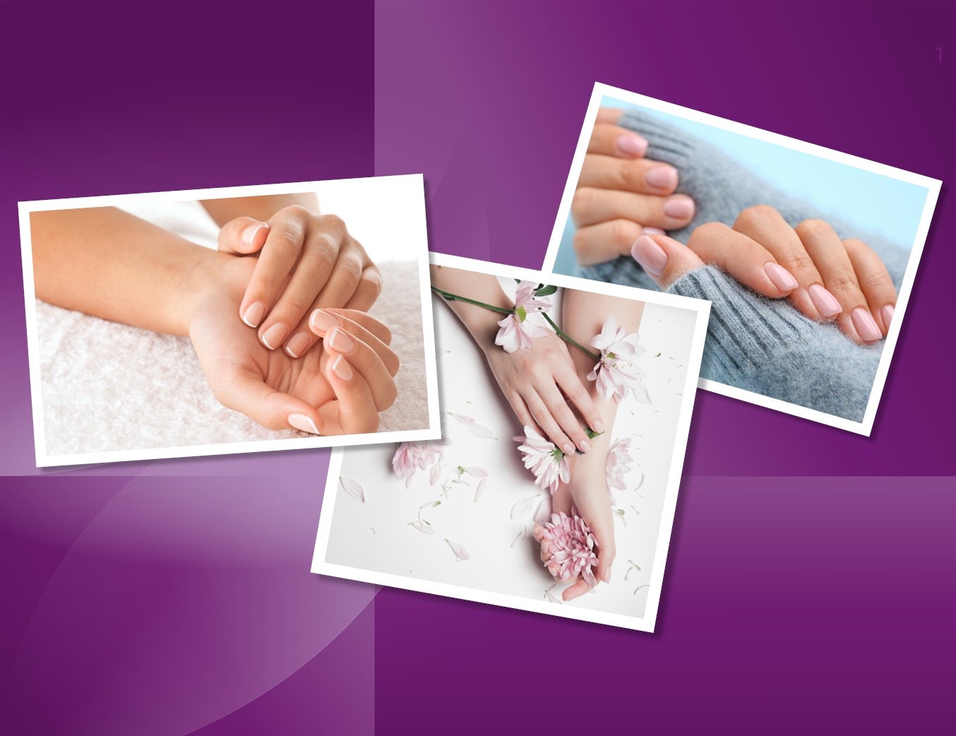 Apoline. Darstellung von Händen mit manikürten Fingernägeln auf lilanen Hintergrund.